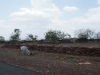 dscf7003